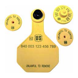840 USDA FDX EID Ear Tags + Med Blank Matched Set  Y-Tex